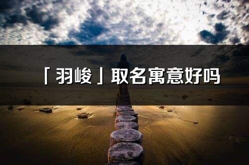 「羽峻」取名寓意好嗎_羽峻名字含義及寓意