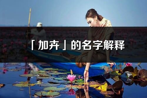 「加卉」的名字解釋_加卉含義分析