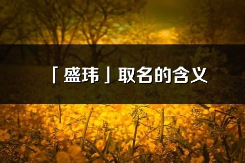 「盛瑋」取名的含義_盛瑋名字寓意解釋