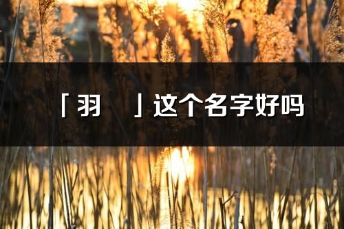 「羽玥」這個(gè)名字好嗎_羽玥名字寓意,含義