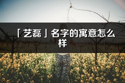 「藝磊」名字的寓意怎么樣_藝磊的出處