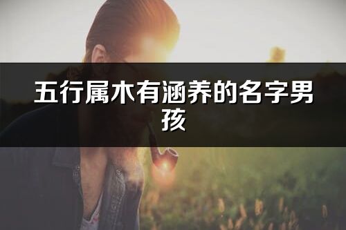 五行屬木有涵養(yǎng)的名字男孩