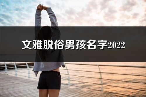 文雅脫俗男孩名字2022
