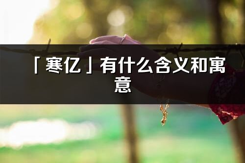 「寒億」有什么含義和寓意_寒億名字的出處與意思