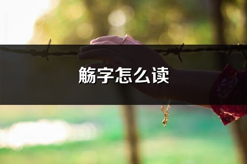 觴字怎么讀_觴的讀音