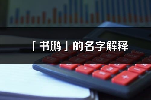 「書鵬」的名字解釋_書鵬含義分析