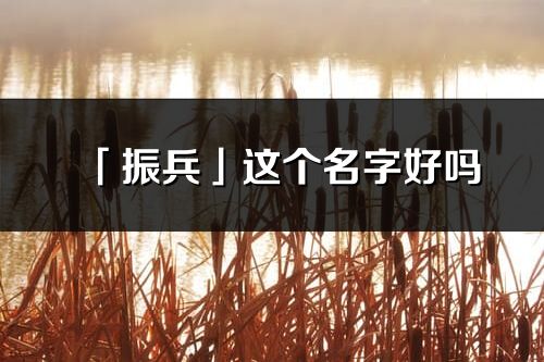 「振兵」這個名字好嗎_振兵名字寓意,含義