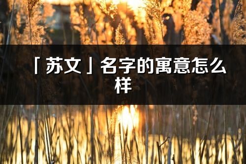 「蘇文」名字的寓意怎么樣_蘇文的出處