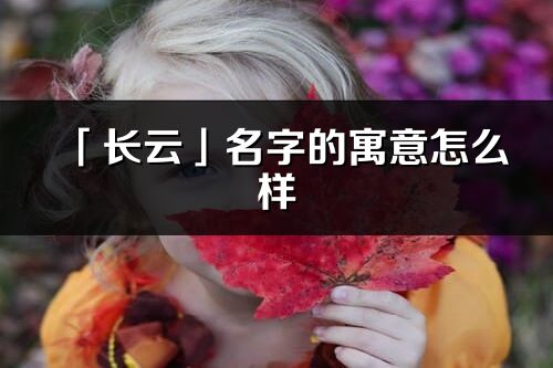 「長云」名字的寓意怎么樣_長云的出處