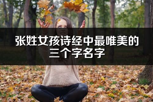 張姓女孩詩經中最唯美的三個字名字