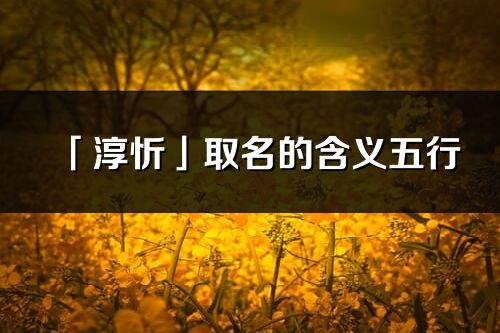 「淳忻」取名的含義五行_淳忻名字寓意解釋
