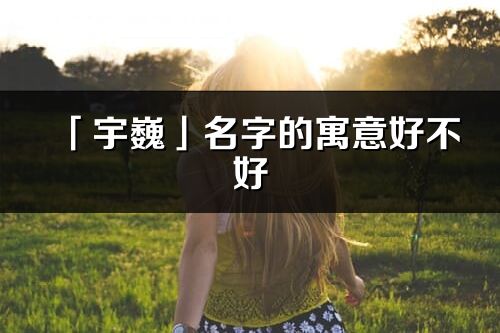 「宇巍」名字的寓意好不好_宇巍含義分析
