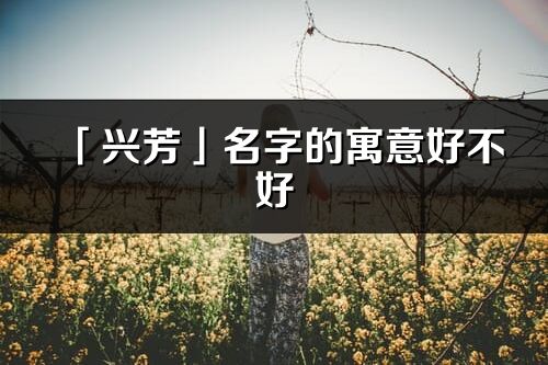「興芳」名字的寓意好不好_興芳含義分析