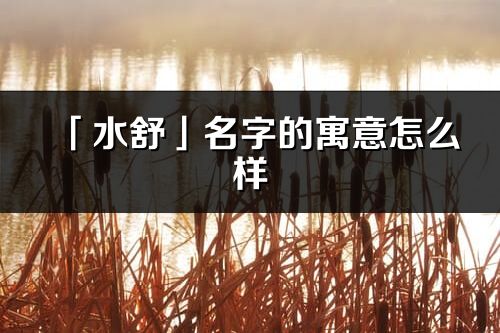 「水舒」名字的寓意怎么樣_水舒的出處