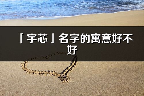 「宇芯」名字的寓意好不好_宇芯含義分析
