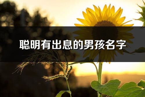聰明有出息的男孩名字