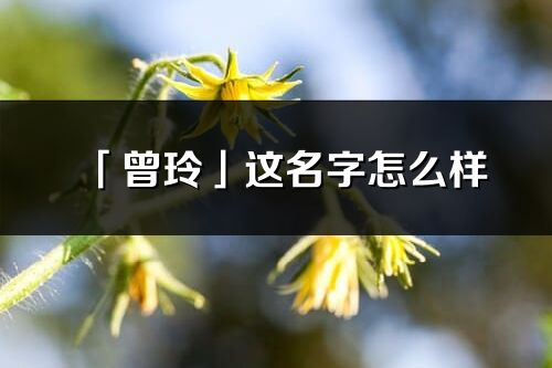 「曾玲」這名字怎么樣_曾玲的名字解釋