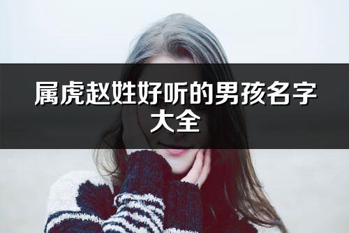 屬虎趙姓好聽的男孩名字大全
