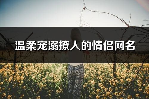 溫柔寵溺撩人的情侶網名