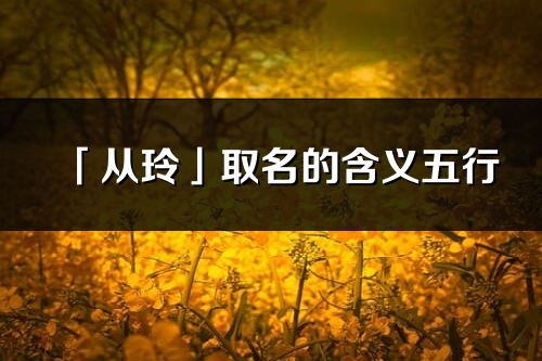 「從玲」取名的含義五行_從玲名字寓意解釋