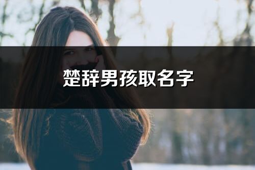 楚辭男孩取名字