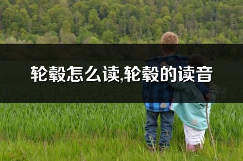 輪轂怎么讀,輪轂的讀音