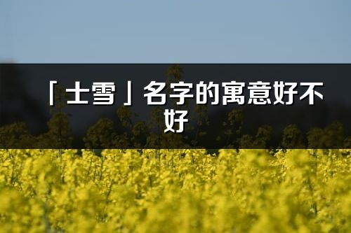 「士雪」名字的寓意好不好_士雪含義分析