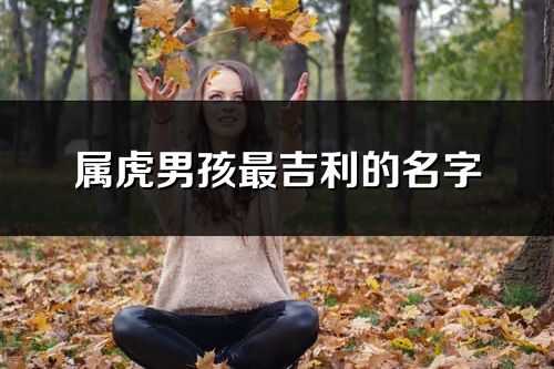 屬虎男孩最吉利的名字