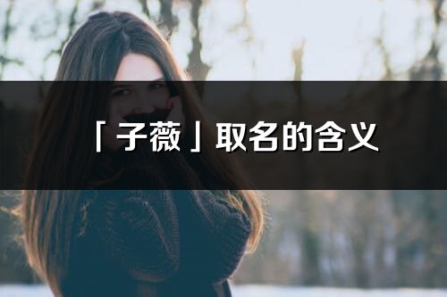 「子薇」取名的含義_子薇名字寓意解釋