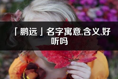 「鵬遠」名字寓意,含義,好聽嗎_鵬遠名字分析打分