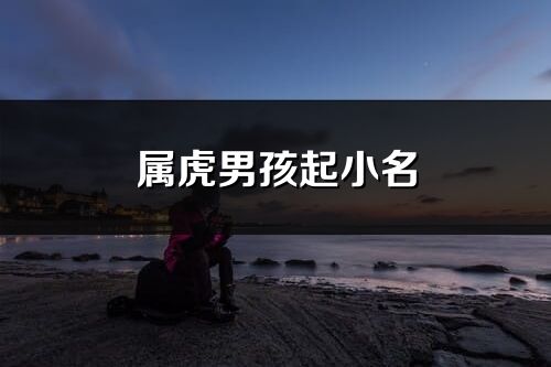 屬虎男孩起小名