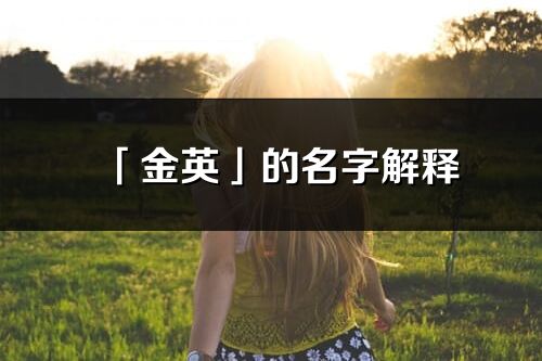 「金英」的名字解釋_金英含義分析