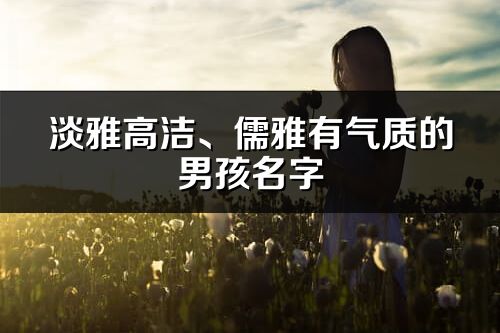 淡雅高潔、儒雅有氣質的男孩名字