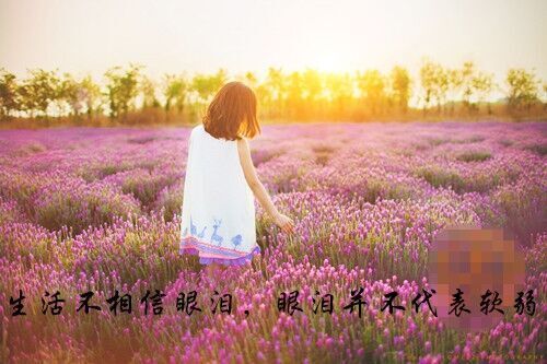 造夢西游最非主流名字(精選65個)