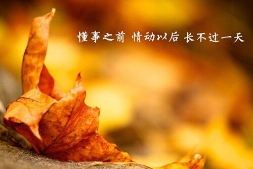 簡短浪漫的繁體字小男生網名(95個)