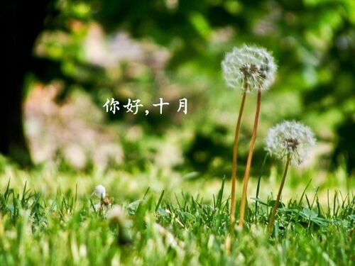 十個字的網名傷感網名(104個)