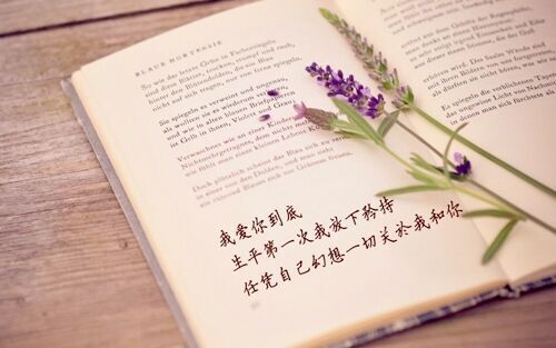 香腸派對冷酷的四字名字(精選130個)