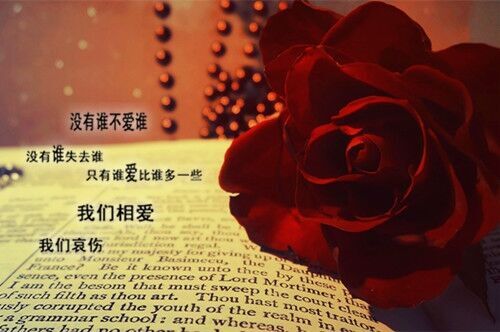 關(guān)于雪的唯美昵稱兩個字(精選24個)