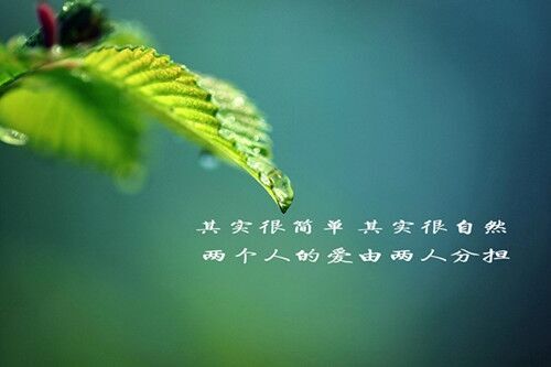 簡單干凈的微信名字(優(yōu)選70個)