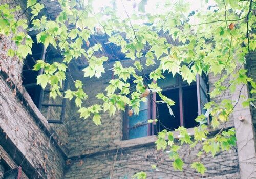 有氣質(zhì)內(nèi)涵的微信名字(521個)