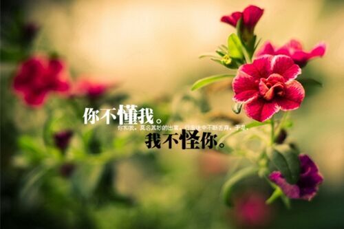 好聽的西域風(fēng)格的名字(優(yōu)選165個(gè))