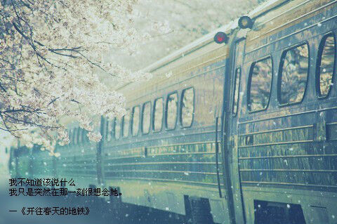 很洋氣的水果微信名字(共121個)