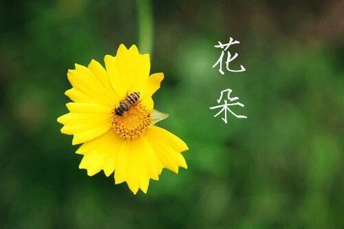 干練好聽的女性名字(66個(gè))
