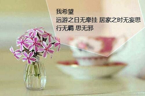 既高傲又冷漠的昵稱帶符號(精選300個)