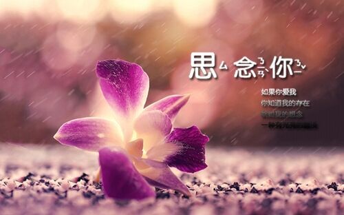 創(chuàng)意可愛(ài)影視公司名字(共218個(gè))