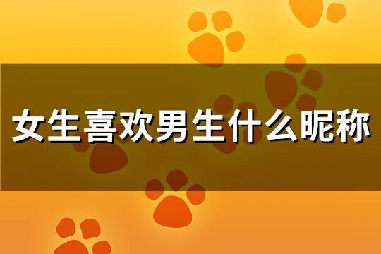 女生喜歡男生什么昵稱(共144個)