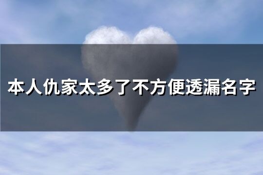 本人仇家太多了不方便透漏名字(精選65個)