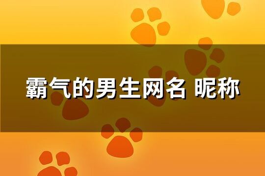 霸氣的男生網(wǎng)名昵稱(優(yōu)選598個)