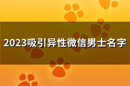 2023吸引異性微信男士名字(共1533個)