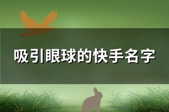 吸引眼球的快手名字(共242個)